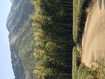 风景 沙滩 青青 阳光 湖 水