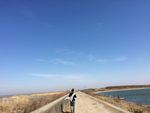 风景 沙滩 青青 阳光 湖 水