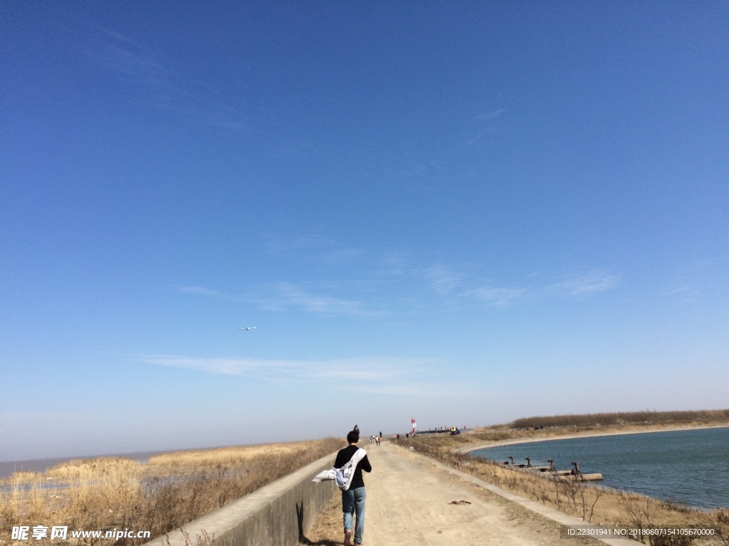 风景 沙滩 青青 阳光 湖 水