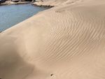 风景 沙滩 青青 阳光 湖 水
