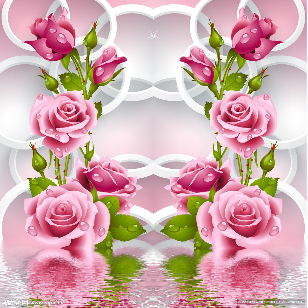 玫瑰花