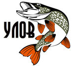 YNOB鱼