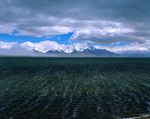 山