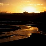 山