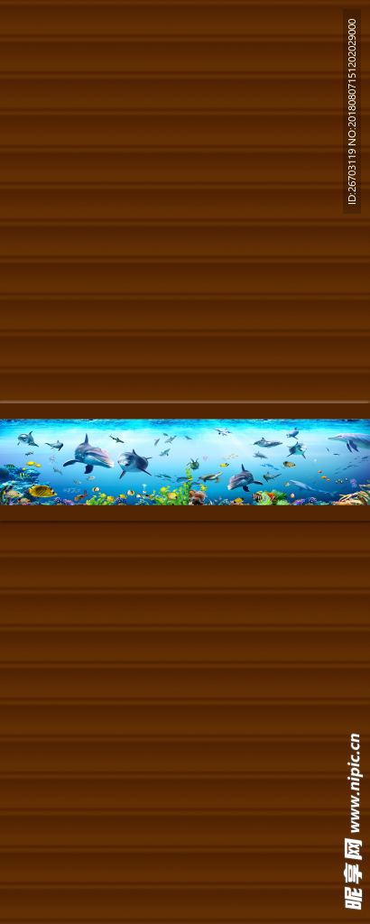 海豚