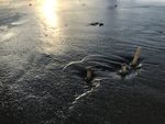 沙滩