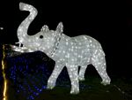 灯光节可爱的大象造型