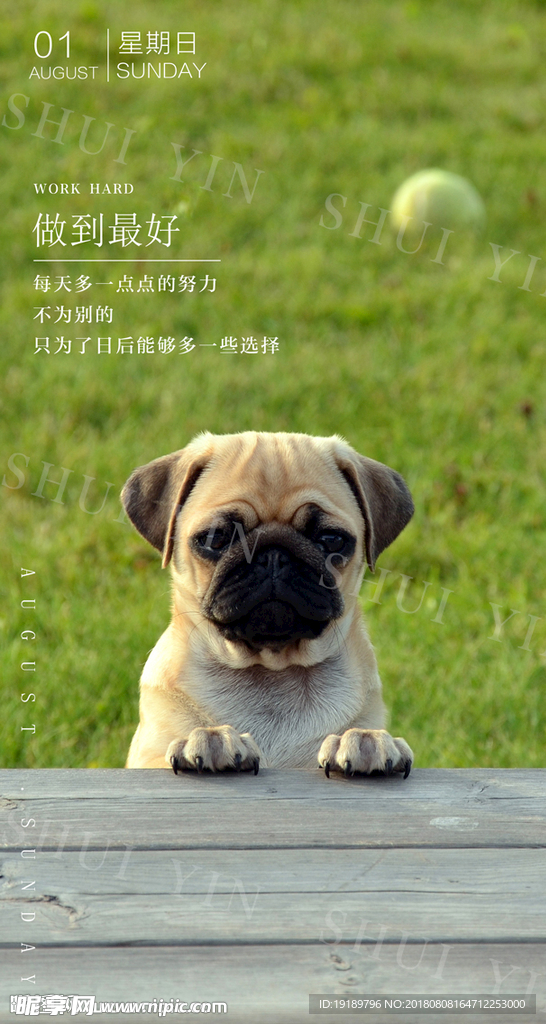 早安