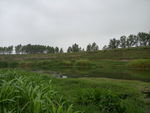风景 水果 食品 乡村 河流