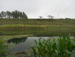 风景 水果 食品 乡村 河流