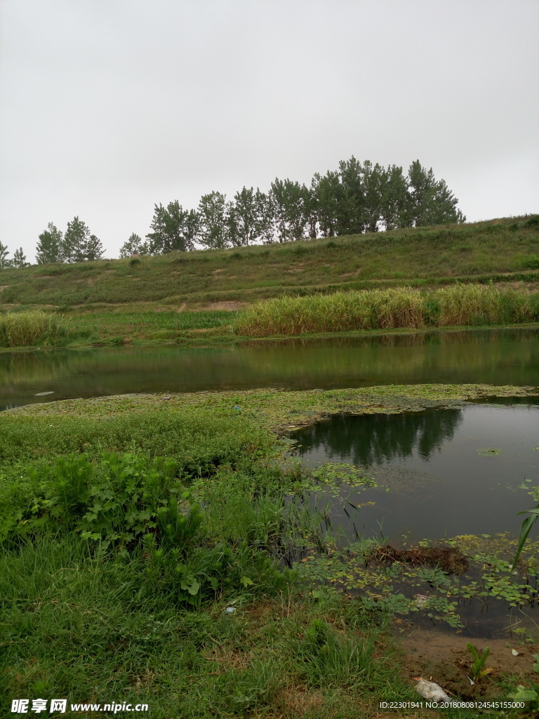 风景 水果 食品 乡村 河流