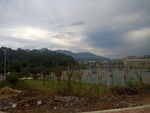 风景 水果 食品 乡村 河流