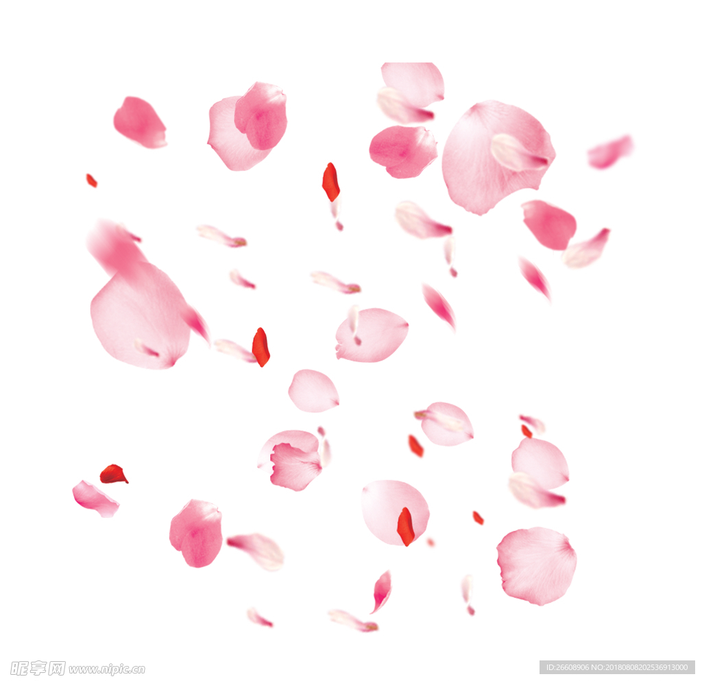 花瓣