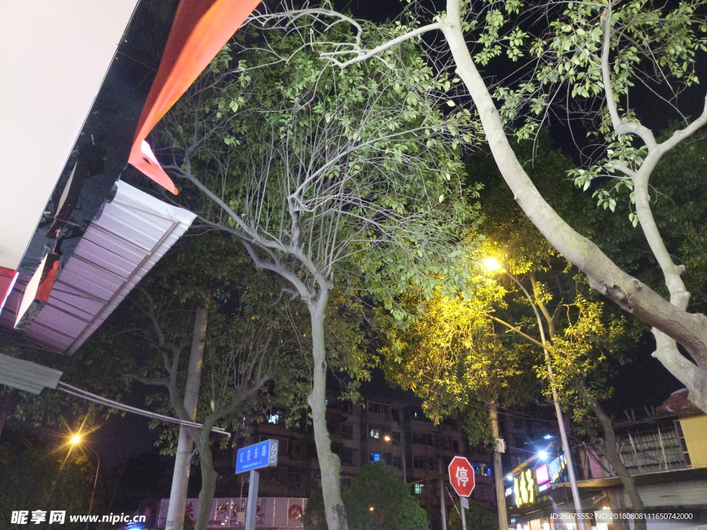 夜景图片