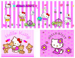 Kitty猫