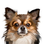 狗