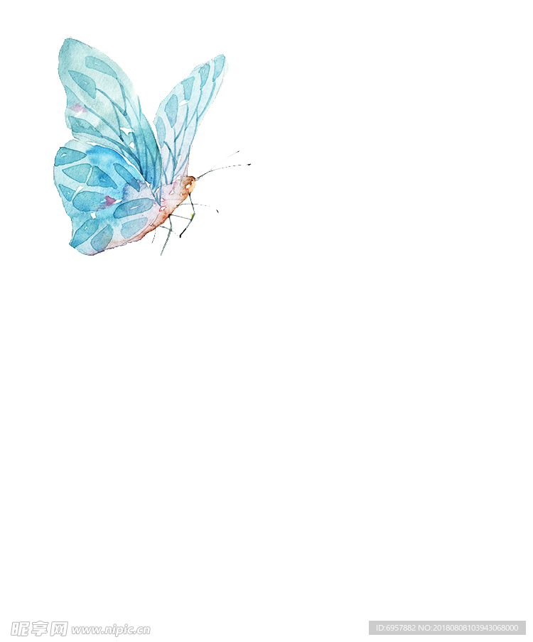 蓝色蝴蝶PNG格式
