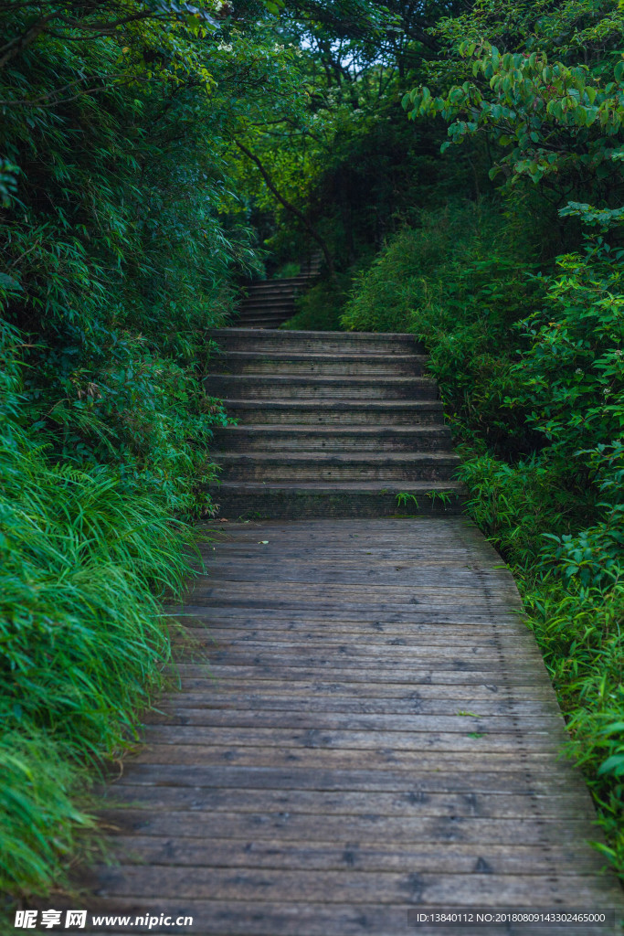 三清山上林间小路