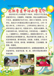 小学简介