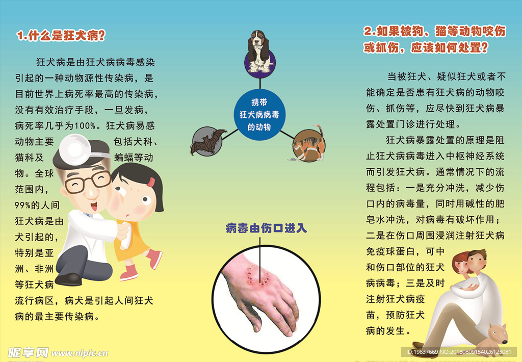 狂犬病