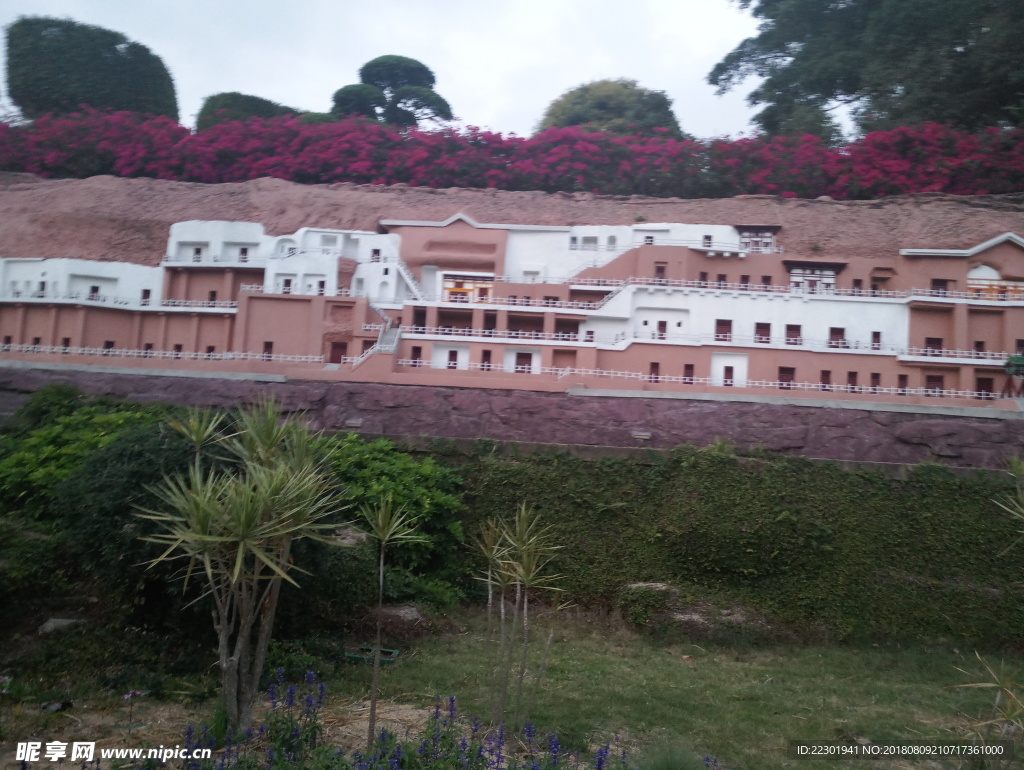 夜景 动物 美景 恬静 悠闲