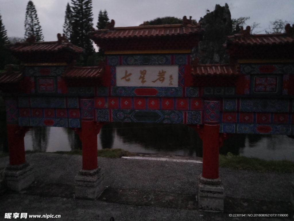 夜景 动物 美景 恬静 悠闲