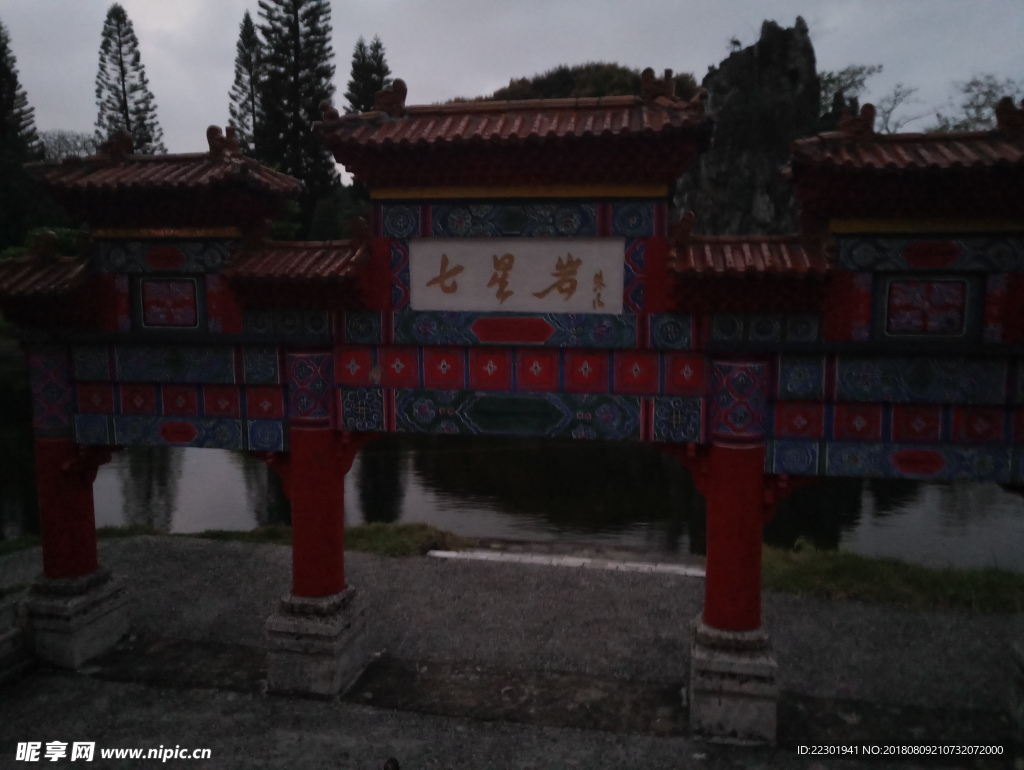 夜景 动物 美景 恬静 悠闲
