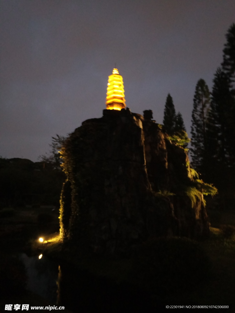 夜景 动物 美景 恬静 悠闲
