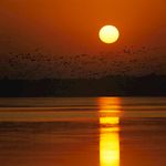 夕阳