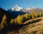 山