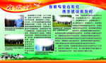新农村