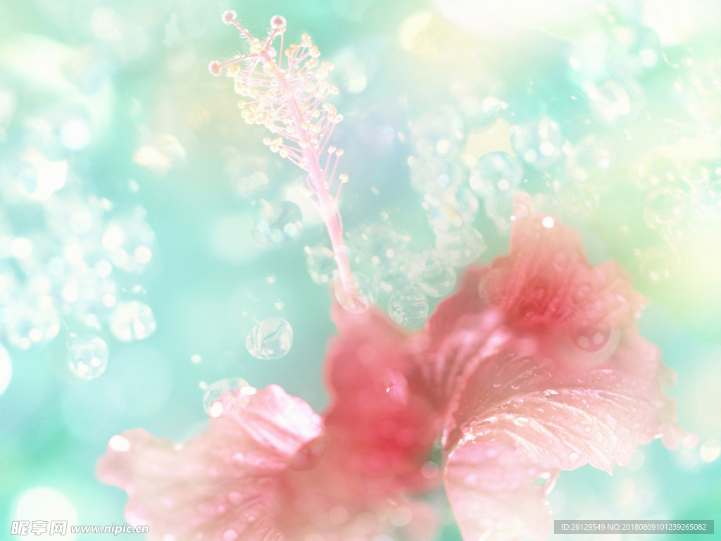 花海