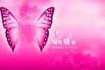 粉蝴 蝶