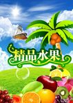 水果展板