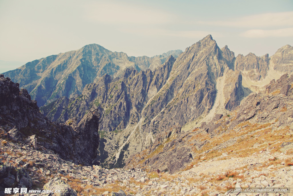 山