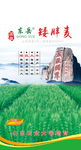 小麦包装袋 国审 东岳 矮胖麦