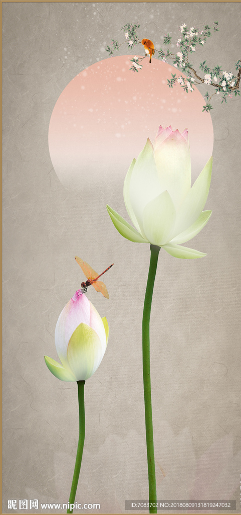 荷花挂画