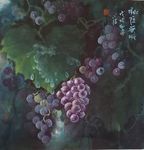 肖超（肖葡萄）作品--岁月