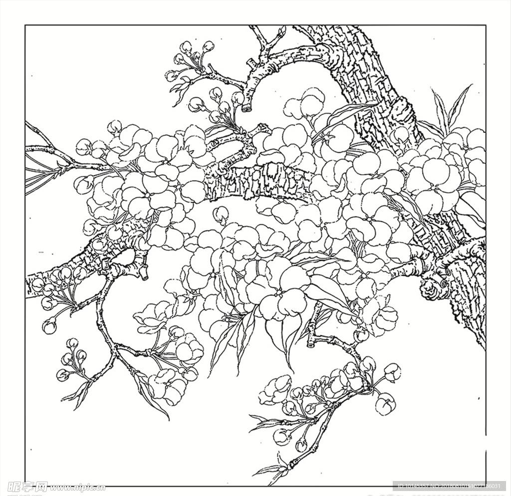花卉