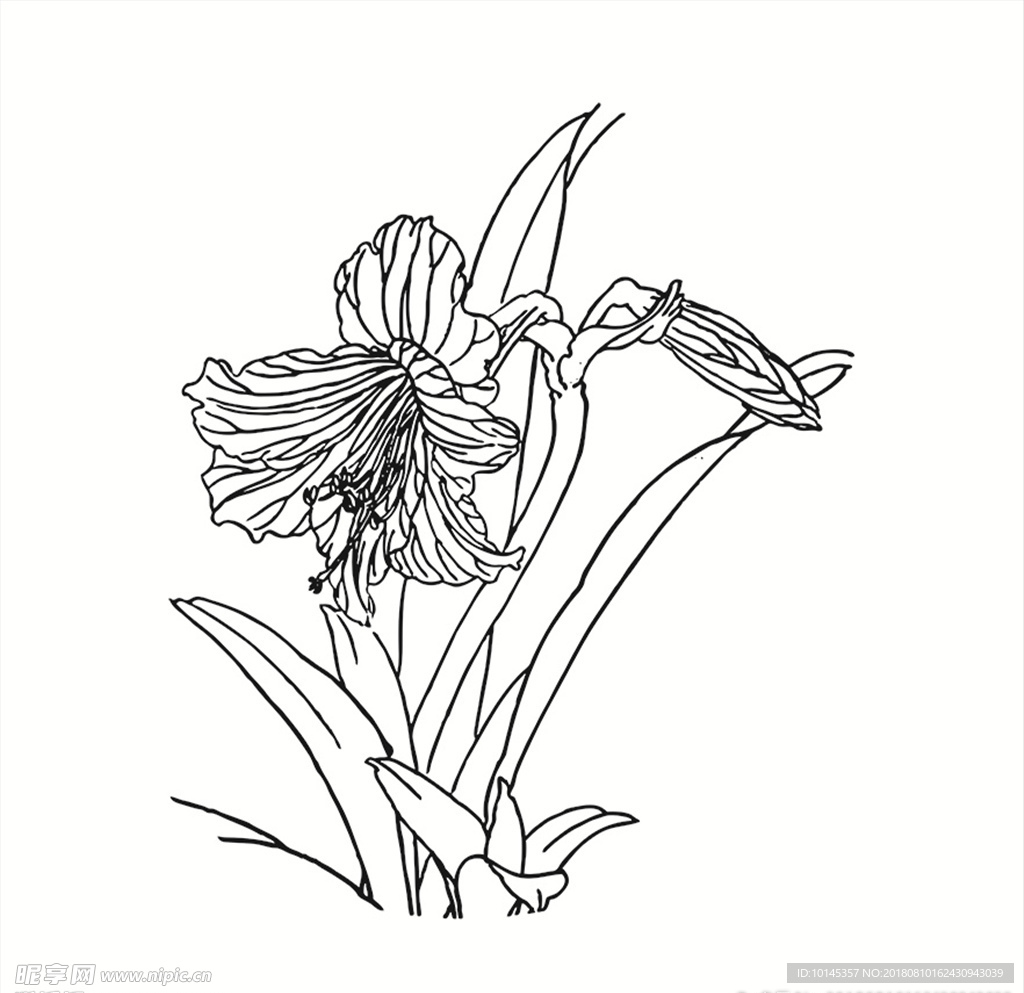 花卉
