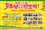 苹果树招生