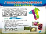 火龙果场简介