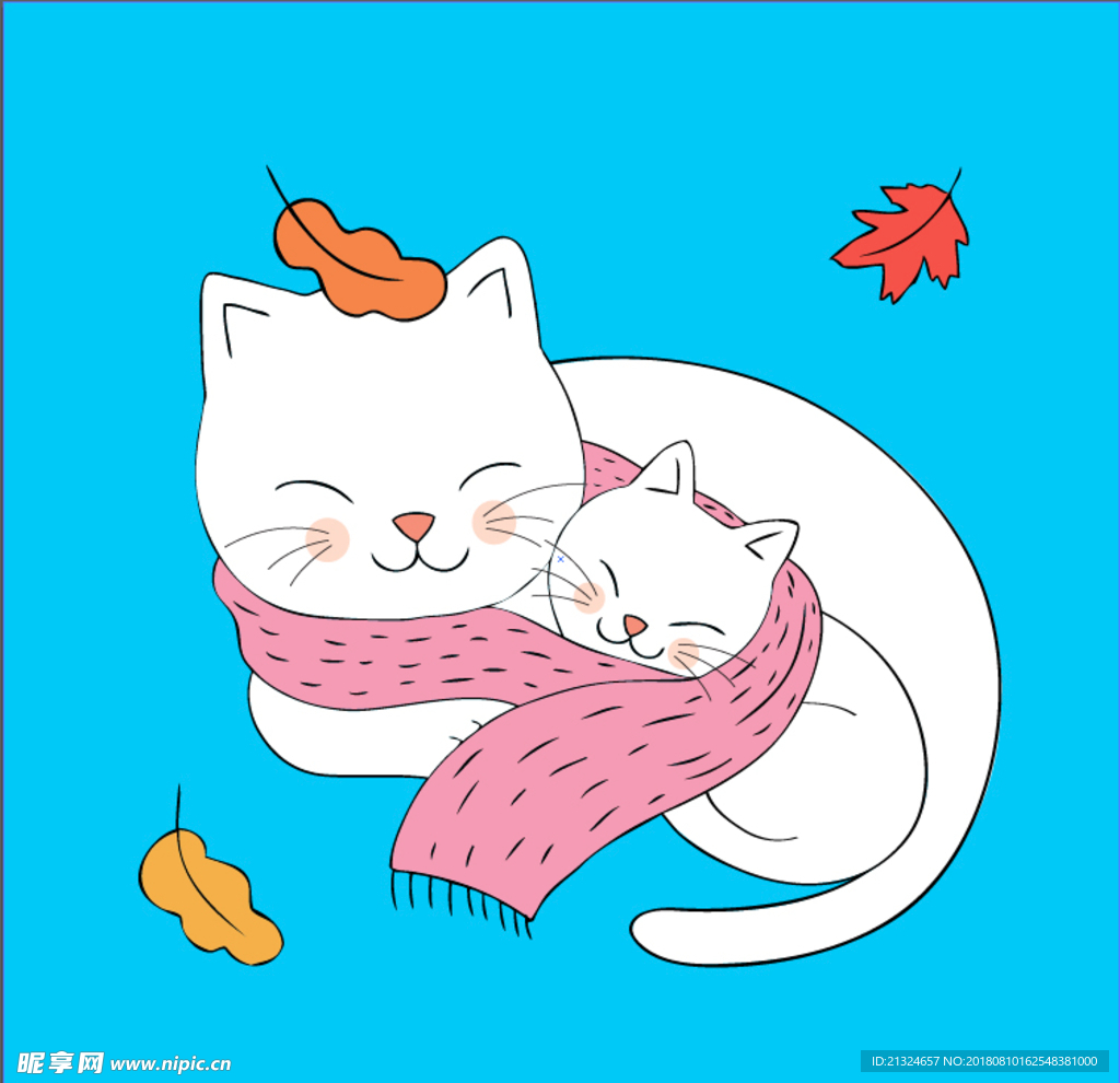 猫猫