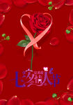 七夕 玫瑰 七夕鹊桥 相约七夕