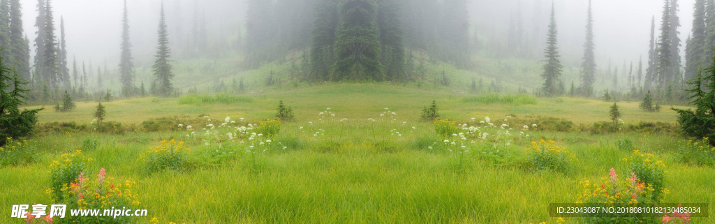 自然风景图片