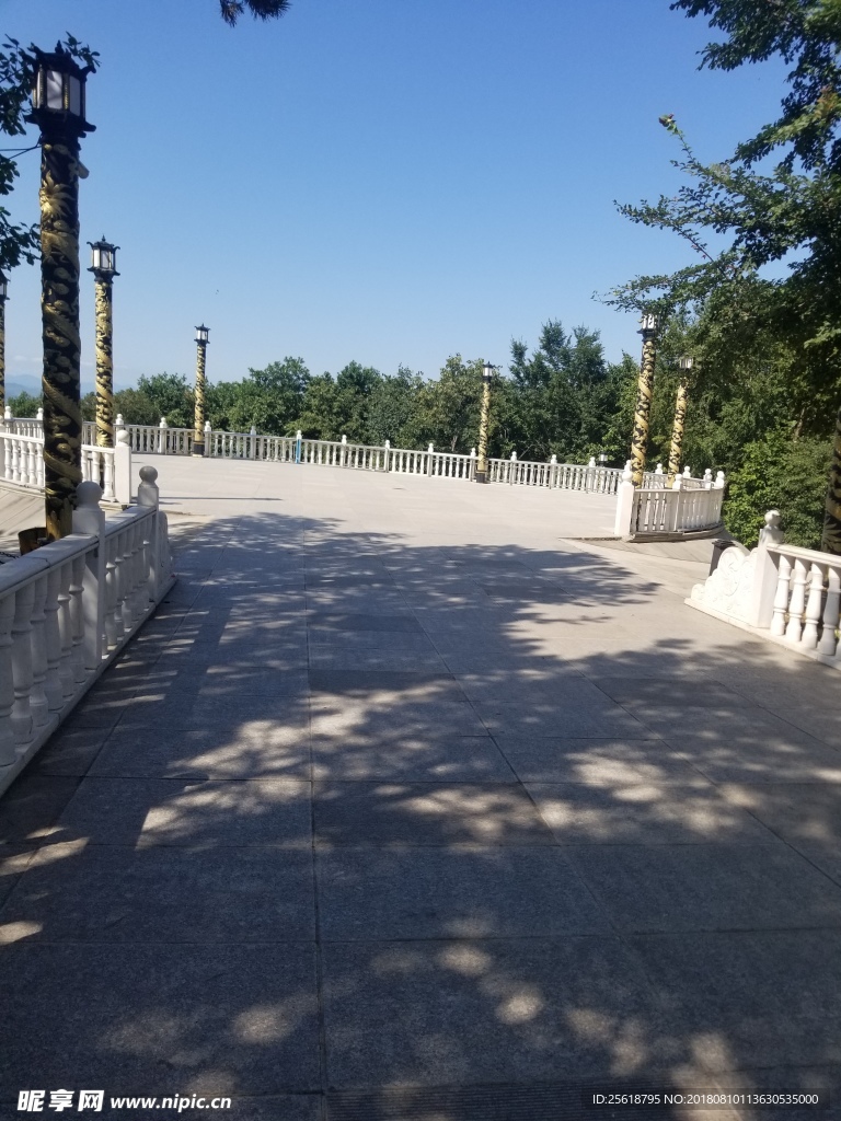 山 树 树林 山水 风景