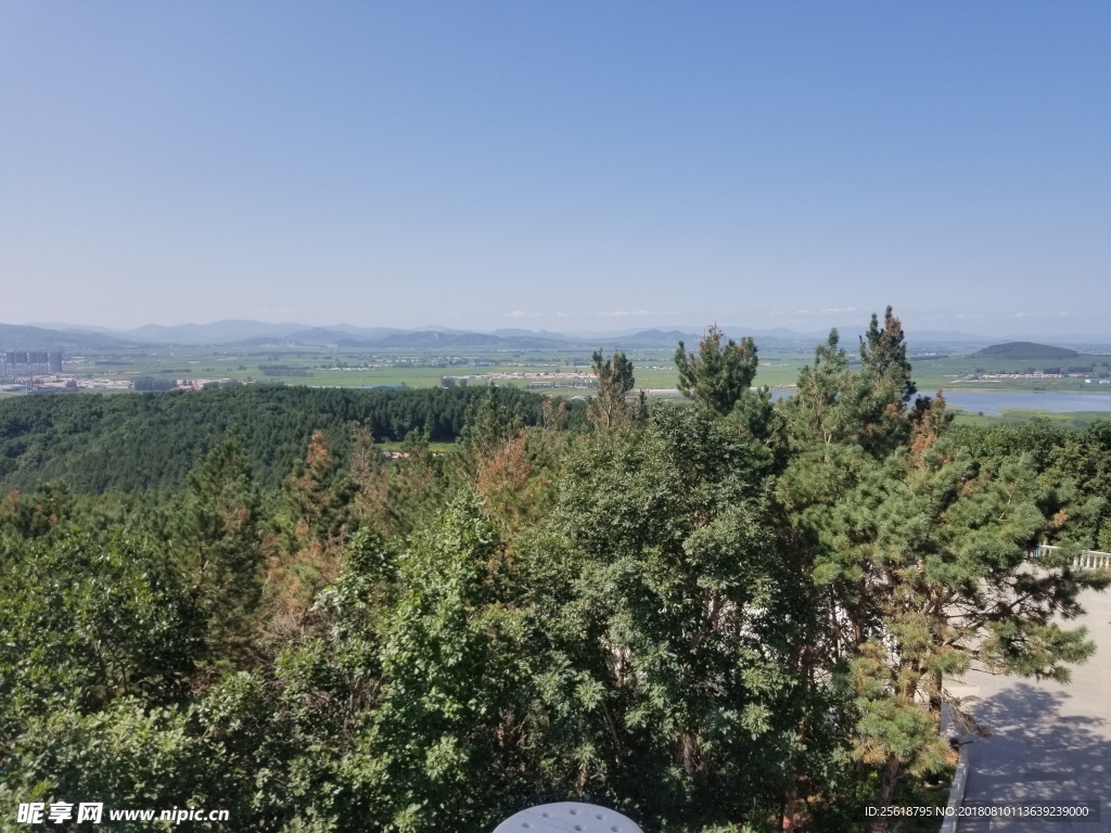 山 树 树林 山水 风景