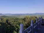 山 树 树林 山水 风景