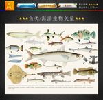 鱼 矢量