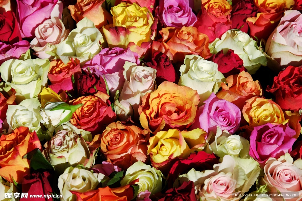 花